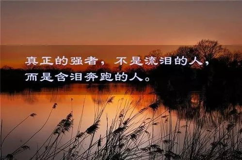 秋季早安語句正能量的句子,情人早安語句正能量的句子,早安語句正能量的句子