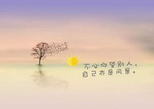關(guān)于運動的正能量的句子短句