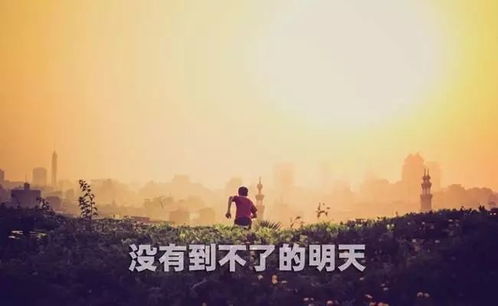 正能量句子勵(lì)志名句,馬云名句正能量的句子,名言名句正能量的句子