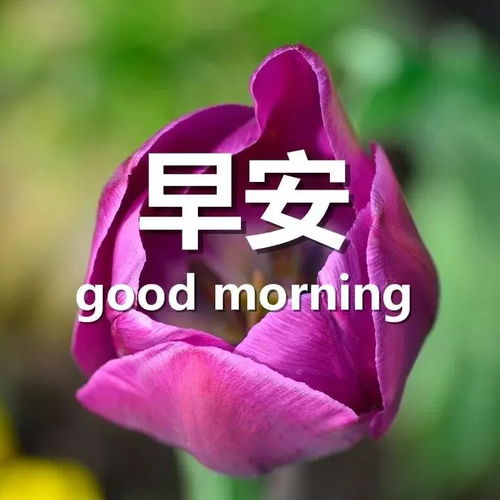 人生正能量的經(jīng)典短句子,人生正能量的短句子勵(lì)志,人生心態(tài)正能量短句子