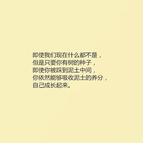 關于堅持的正能量句子段落,正能量的句子經典段落,正能量句子勵志段落