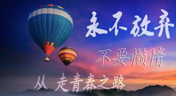 捐助,句子,能量,愛心