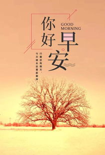 早安,句話,句子,心語(yǔ)