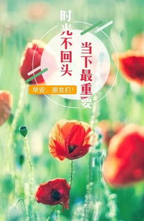 多笑笑的正能量句子,心態(tài)好的句子正能量,關于堅持的正能量句子