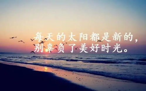 工作正能量語錄激勵(lì)人心的句子英文,工作正能量語錄激勵(lì)人心的句子+圖,正能量激勵(lì)人心的工作說說