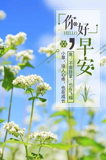 一切都會好起來的經(jīng)典句子,形容一切都會好起來的句子,加油一切都會好起來的句子