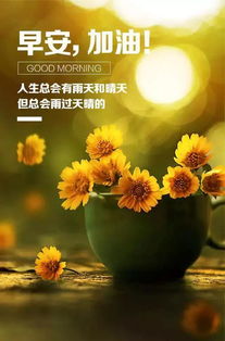 好心態(tài)早安正能量句子,早安正能量句子勵志,早安語錄正能量的句子