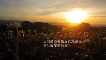堅(jiān)持勵(lì)志正能量的句子英文,工作勵(lì)志的句子正能量英文,早安勵(lì)志正能量的句子英文