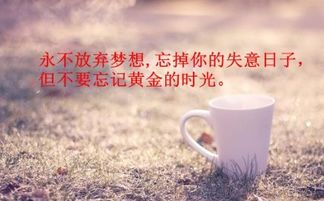 工作心態(tài)正能量搞笑句子