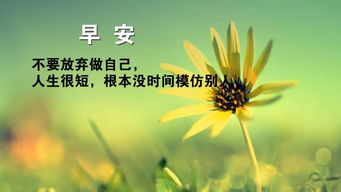 早安,短語(yǔ),句子,勵(lì)志