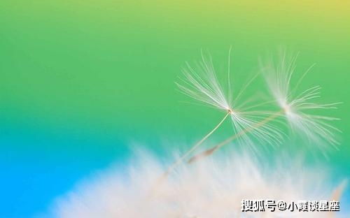 句子,滿滿,能量,陽(yáng)光