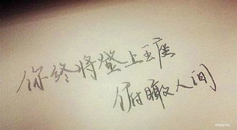 今日收獲正能量的句子一句話,今日收獲工作正能量的句子,付出與收獲的正能量句子