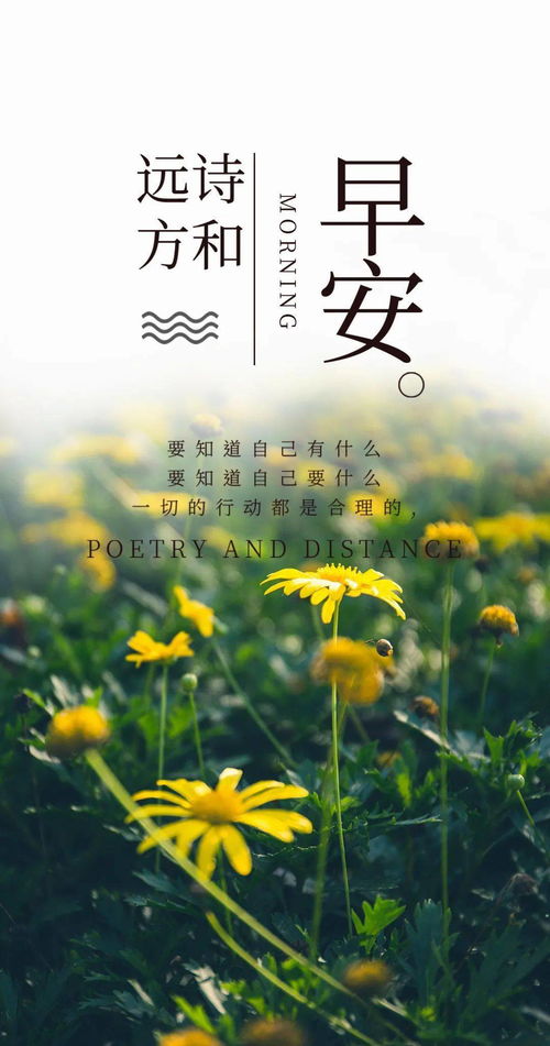 早上朋友圈的句子正能量陽光