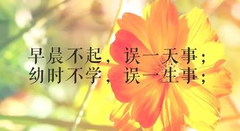 正能量情感夫妻勵志句子說說心情