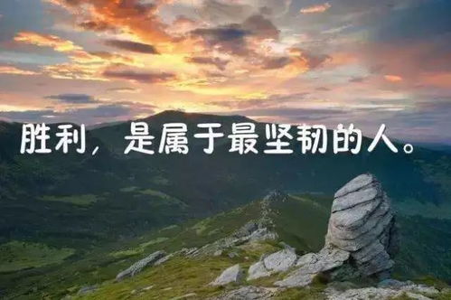毫無(wú)意義的社交正能量句子,關(guān)于堅(jiān)持的正能量句子,懂得感恩的正能量句子