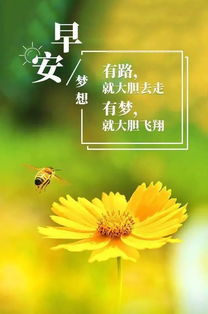 句子,語(yǔ)句,早上好,能量