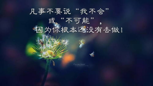 吃飯方面正能量句子
