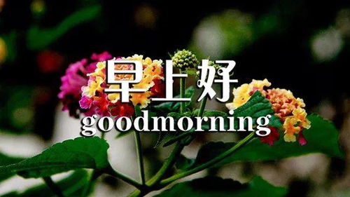 句子,能量,形容