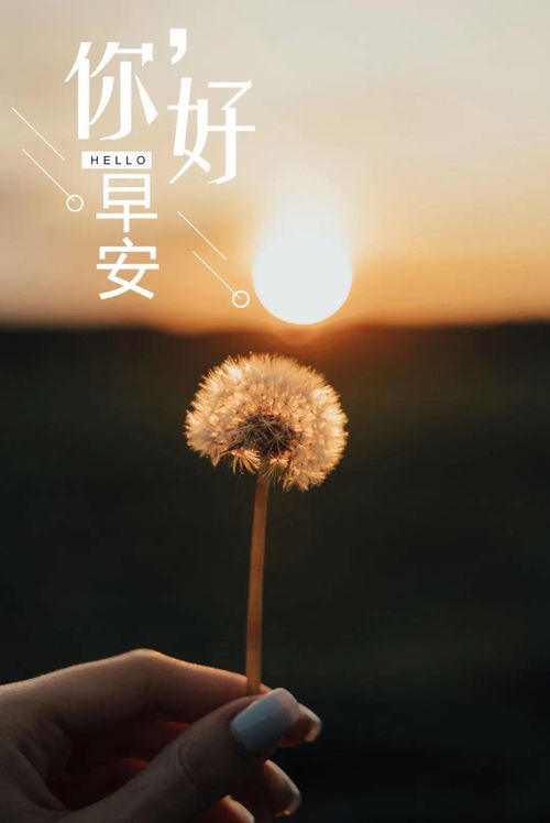 讓人堅(jiān)強(qiáng)正能量的句子