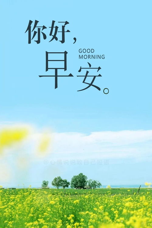 短語,句子,能量,溫暖