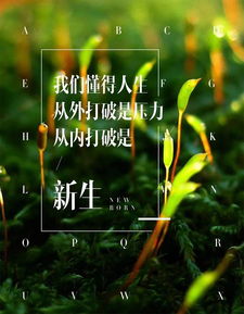 句子,勵志,能量,青春