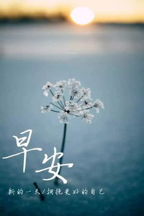 早安,簡短,句子,勵(lì)志