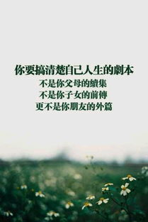今日勵志語錄正能量句子,早晨勵志語錄正能量句子,創(chuàng)業(yè)勵志語錄正能量句子