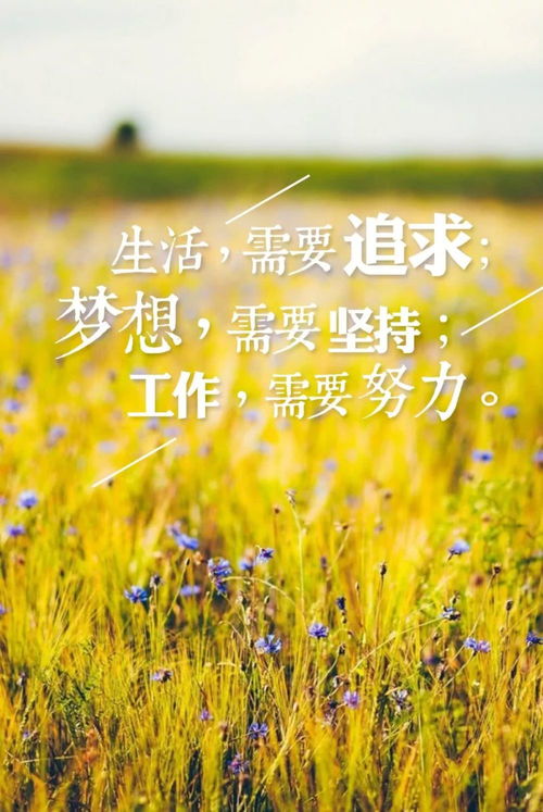 早安激勵正能量的句子,早安激勵人心的正能量句子,早安激勵正能量的句子適合發(fā)朋友圈