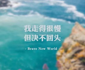 一個(gè)人的晚餐正能量句子