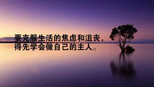 句子,能量,幽默