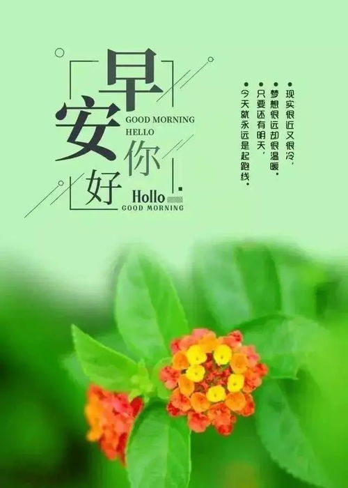 努力奮斗早安正能量的句子簡單,努力奮斗早安正能量問候語的句子,早安努力奮斗正能量句子勵志