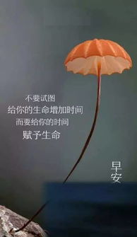 早安勵志正能量的句子,好心態(tài)早安正能量句子,早安語錄正能量的句子