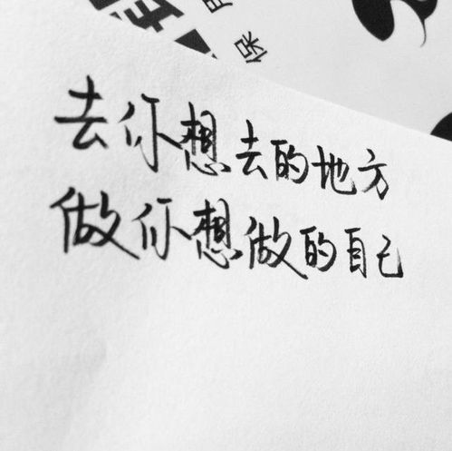 女人努力賺錢的句子正能量,女人勵志正能量的句子經(jīng)典語句,女人奮斗勵志的正能量句子