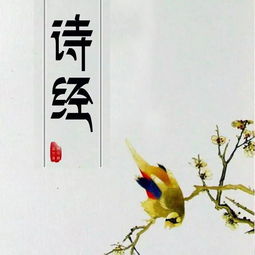 詩經(jīng)中文雅的正能量的句子