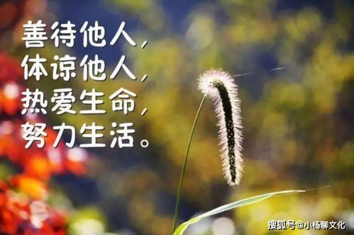 能量,句子,語錄,清晨
