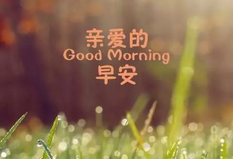 早晨正能量勵(lì)志的短句子,早晨充滿正能量的短句子,早晨充滿正能量的句子