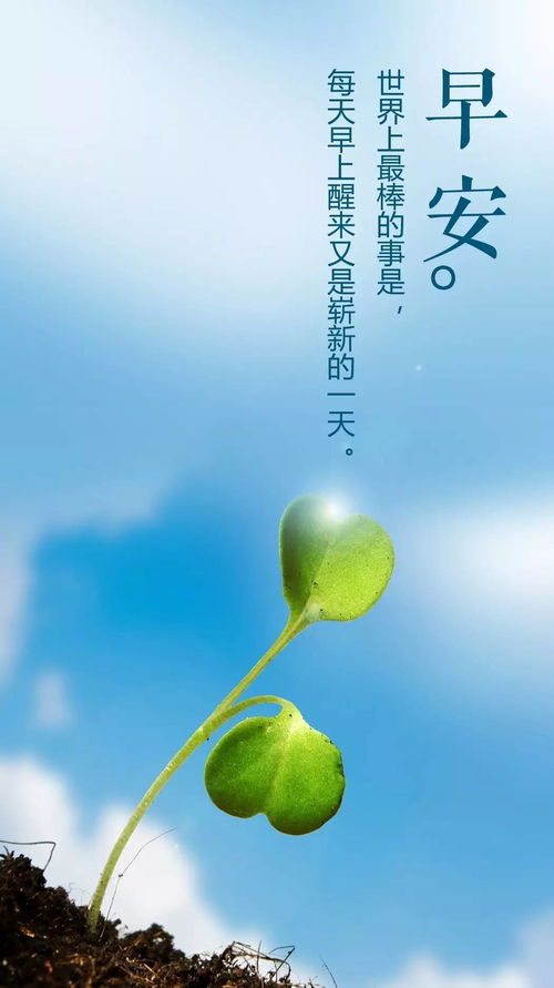 正能量的早安語句子配圖