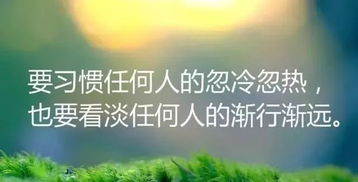 積極正能量的句子經(jīng)典語句,積極正能量的句子經(jīng)典語句50字以上,正能量的句子經(jīng)典語句