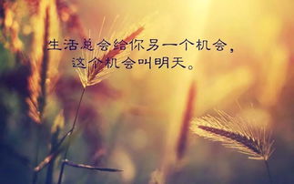 正能量人生感悟內(nèi)涵句子,佛說正能量人生感悟的句子,正能量人生感悟的句子50字