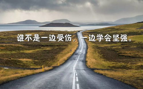 養(yǎng)護,句子,能量,道路