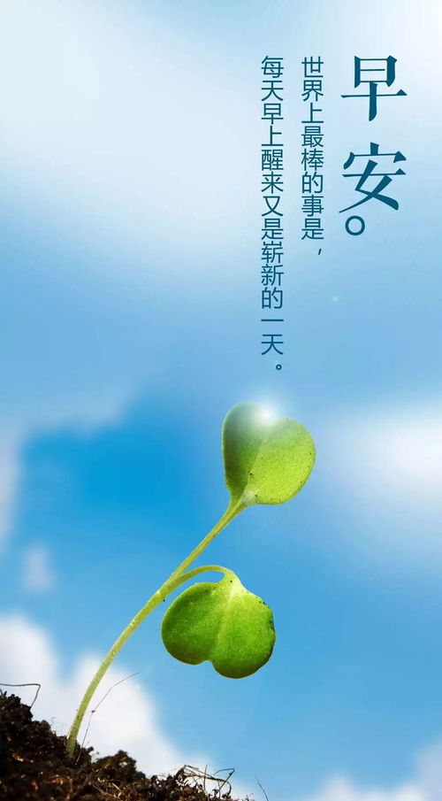 早安正能量的句子銷售