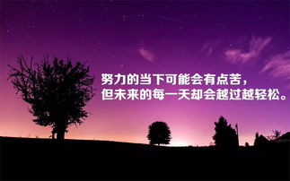 句子,勵(lì)志,能量,女人