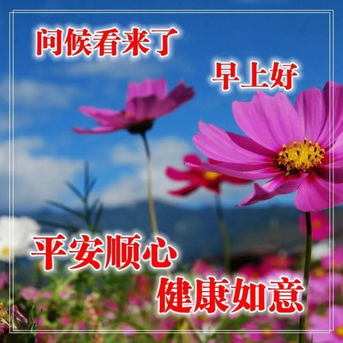 努力優(yōu)秀的正能量句子,優(yōu)秀團(tuán)隊(duì)精神正能量的句子,與優(yōu)秀的人同行正能量句子