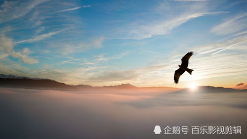 鼓勵正能量的句子經(jīng)典語錄,投資正能量的句子經(jīng)典語錄,佛教正能量的句子經(jīng)典語錄