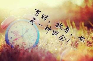 個(gè)性正能量的句子說說心情短語