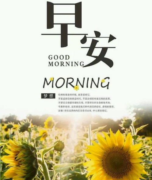 適合早上發(fā)圈正能量的句子