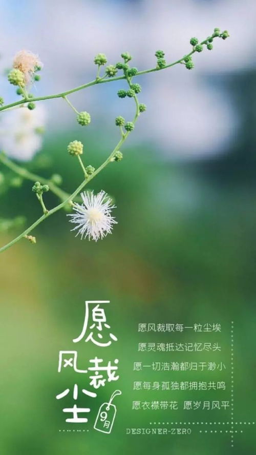 正能量奮斗女人句子說說心情
