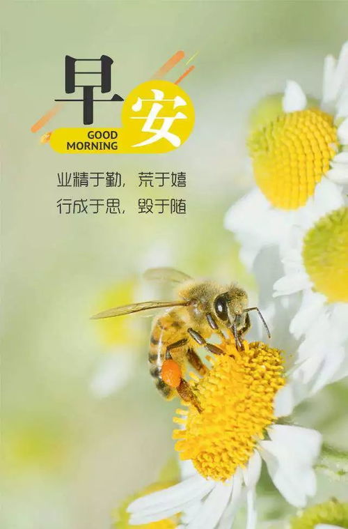 每日早安簡短句子正能量