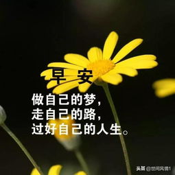 早安,句子,勵(lì)志,朋友圈