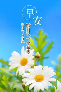 句子,能量,問候,早上